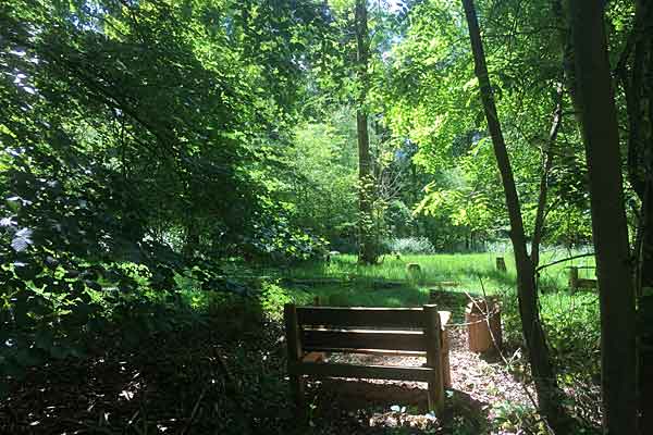 GreenAcres Chiltern Natural Burial Ground