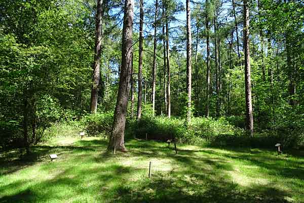 GreenAcres Chiltern Natural Burial Ground