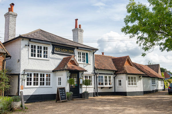 The Red Lion, Shamley Green