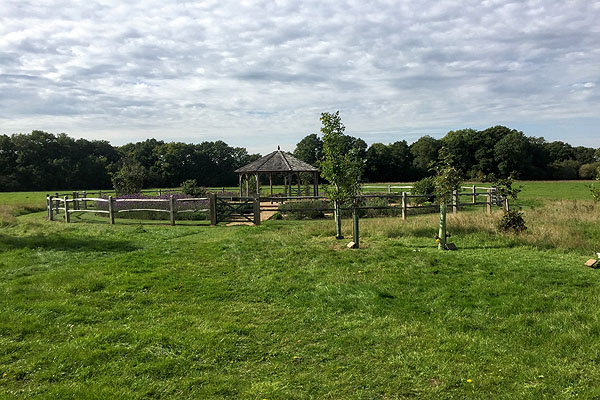 Oakfield Wood Natural Burial Ground at Shamley Green