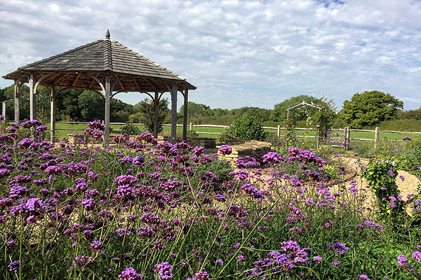 Oakfield Wood Natural Burial Ground at Shamley Green