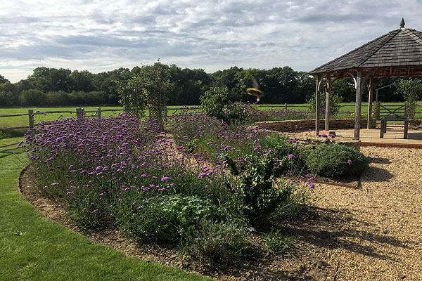 Oakfield Wood Natural Burial Ground at Shamley Green